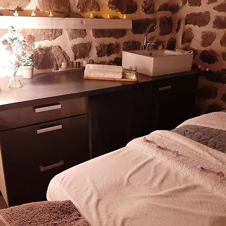 Maison De Charme A Polignac: Terrasse Ensoleillee, Randonnees, Proche Puy-en-velay - Fr-1-582-58 Σπίτι διακοπών *